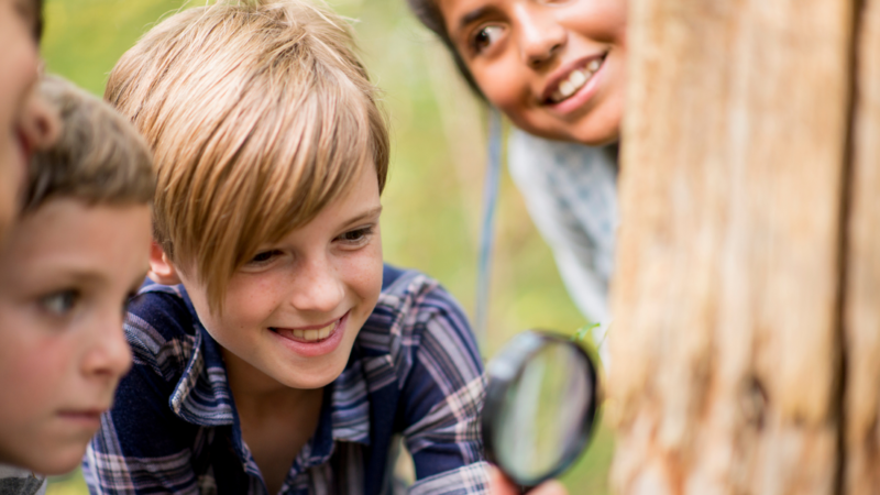 Progressive education—learning by doing | News, Sports, Jobs - Vimarsana News