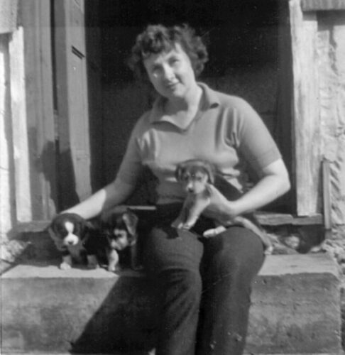 Joan Evangeline Schutte | News, Sports, Jobs - The Mining Gazette - Vimarsana News