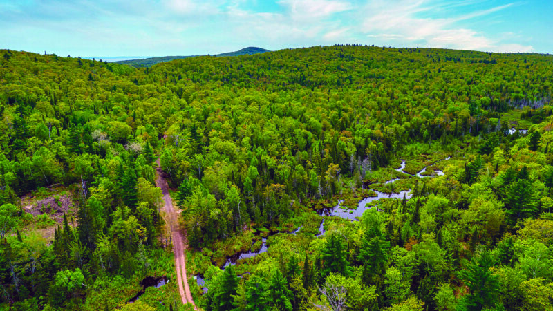 TNC: Road restrictions to Clark Mine | News, Sports, Jobs - Vimarsana News