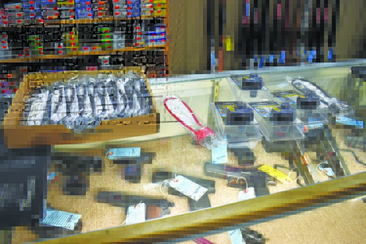 Michigan gun laws in effect as of Tuesday | News, Sports, Jobs - Vimarsana News