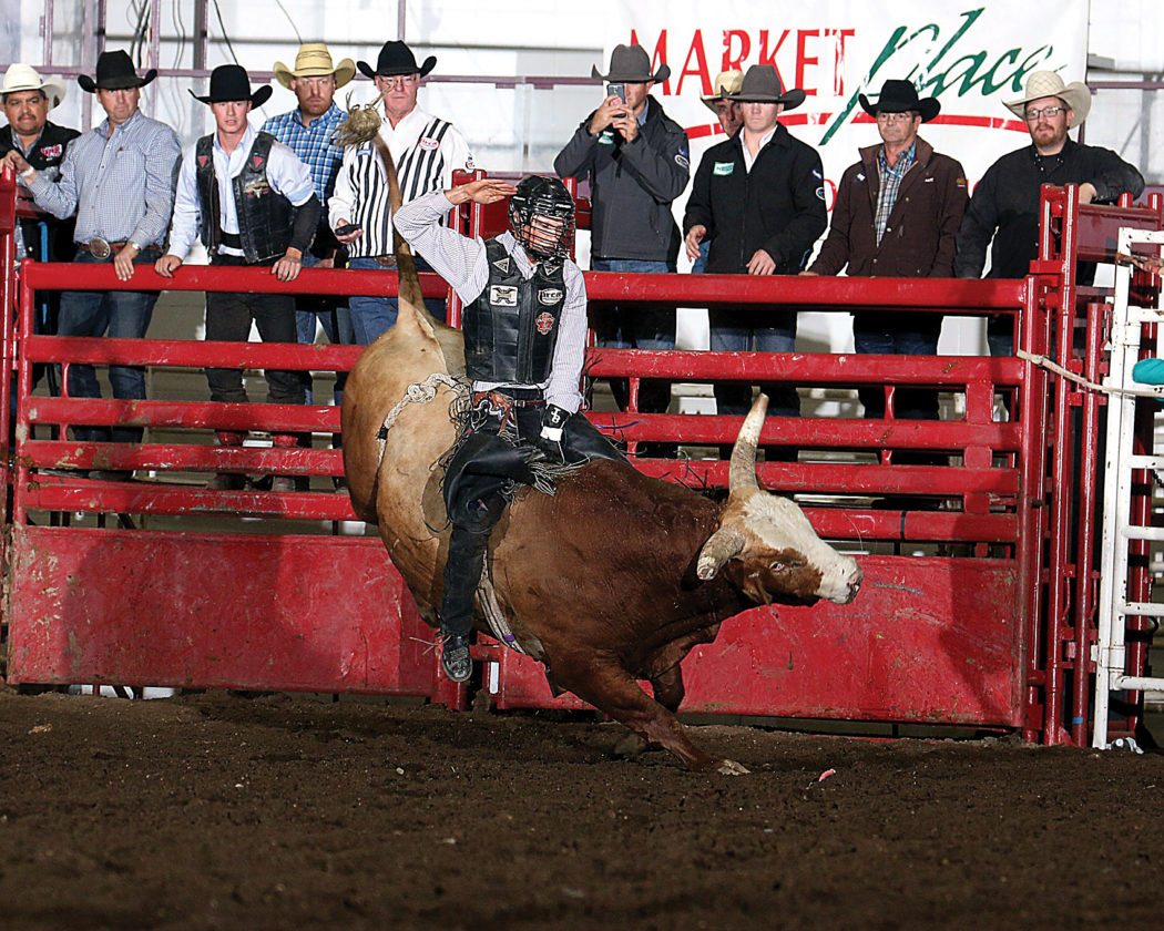 Champions determined on final night of Minot Rodeo | News, Sports, Jobs