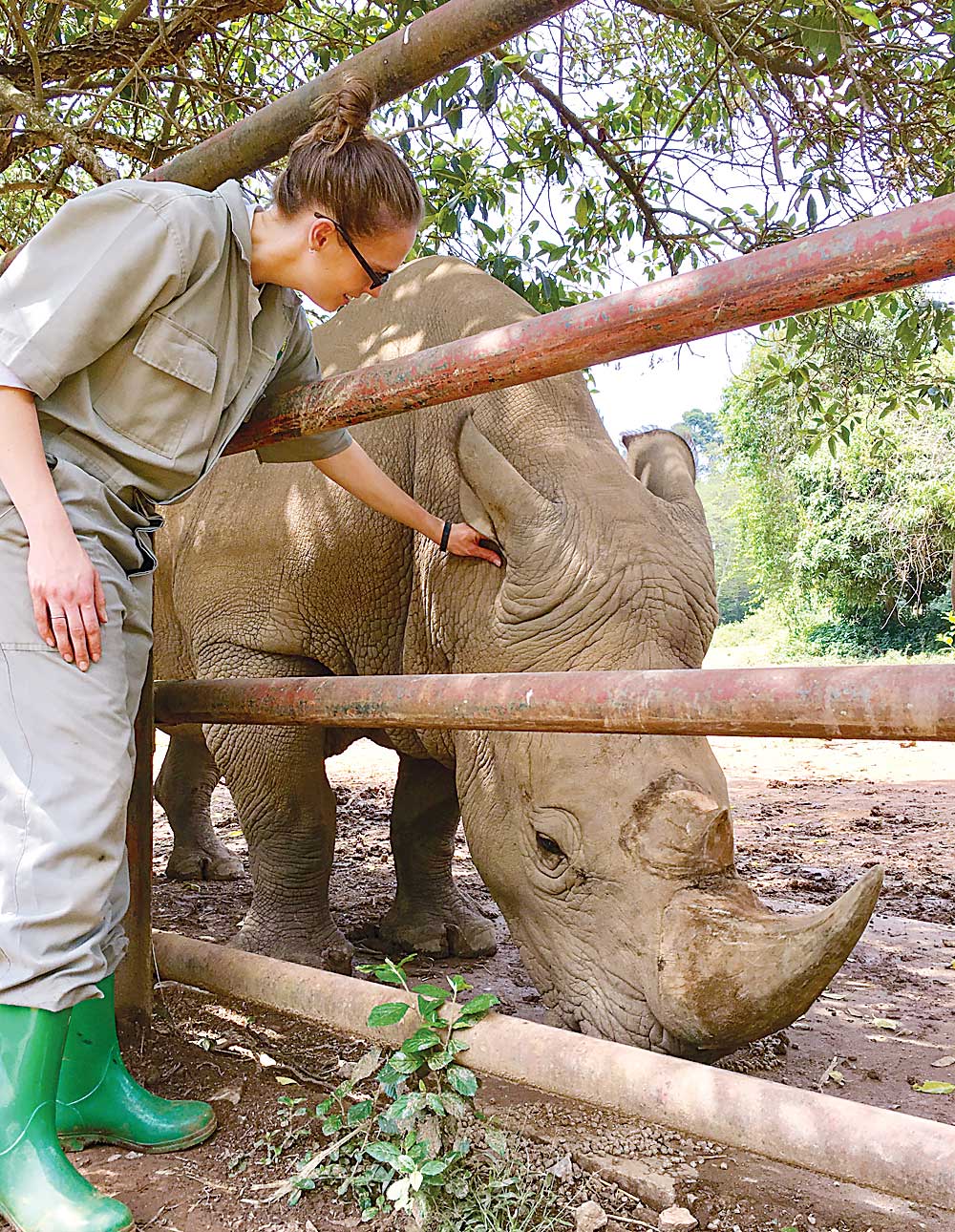 Zookeeper returns from African conservation trip News, Sports, Jobs