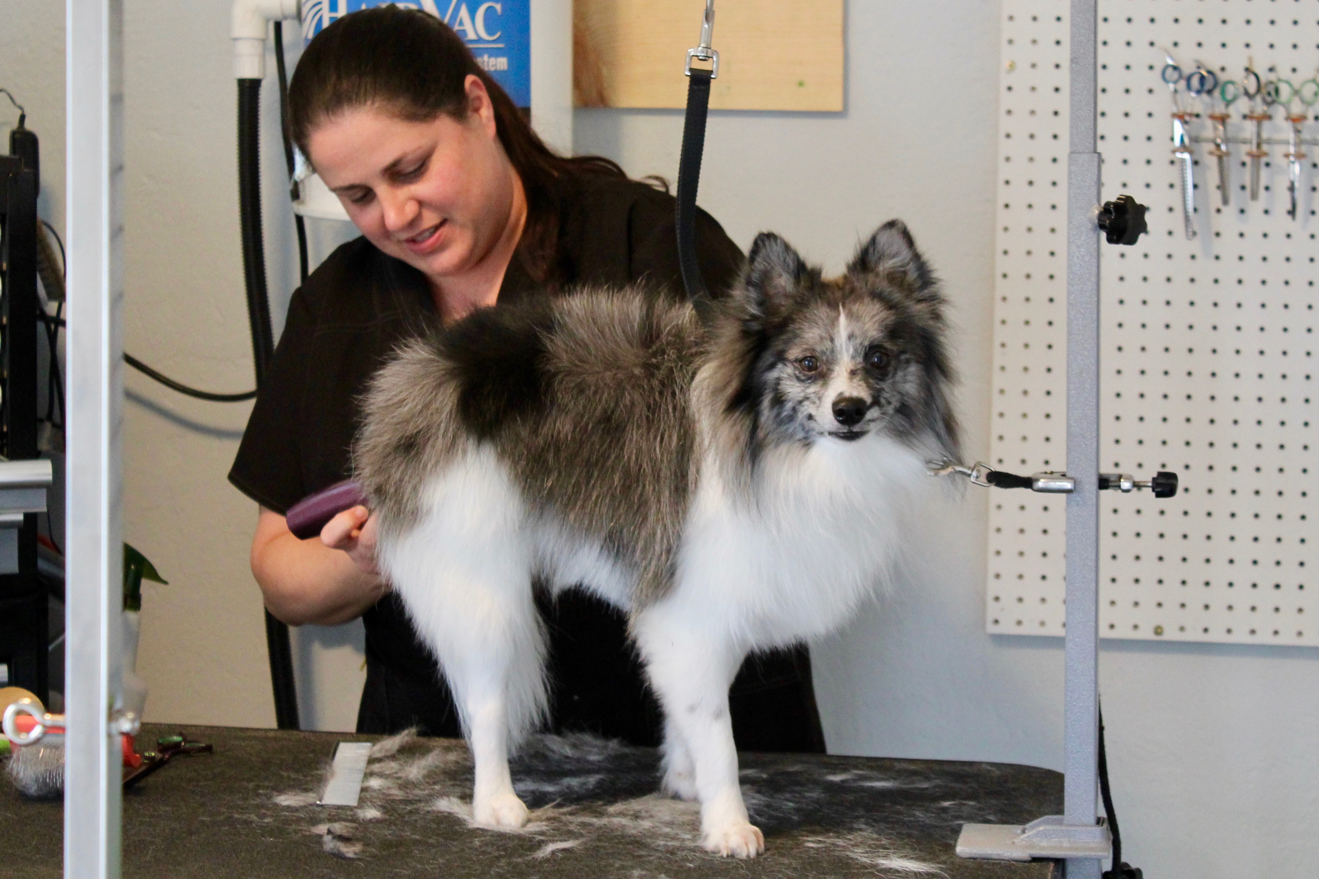 Fettig opens Biscuits and Bows News, Sports, Jobs Minot Daily News