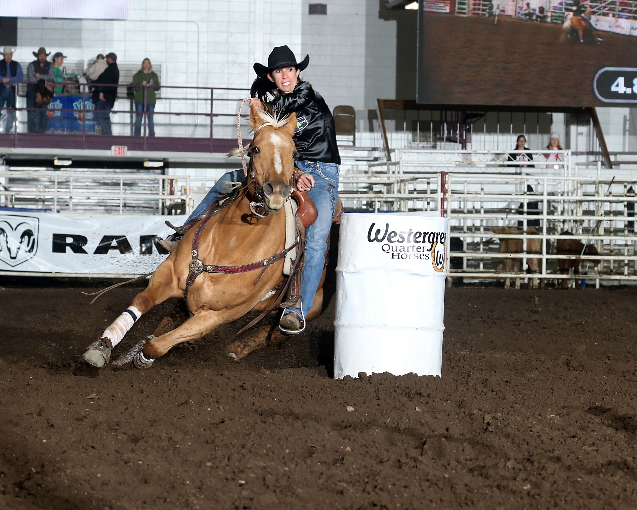 Badlands Circuit designates horses of the year | News, Sports, Jobs