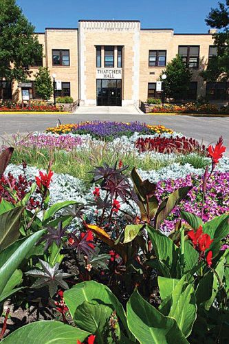 Dreaming of summer | News, Sports, Jobs - Minot Daily News - Vimarsana News