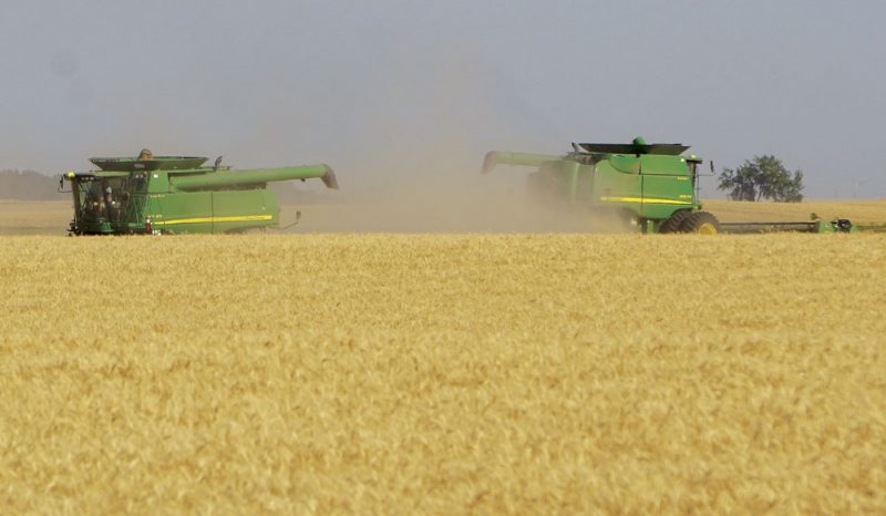 Market rally could influence planting decisions | News, Sports, Jobs - Vimarsana News