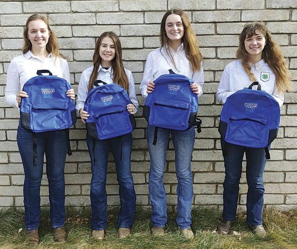 Ward/McLean team sweeps horse contests at Black Hills Stock Show | News, Sports, Jobs - Vimarsana News