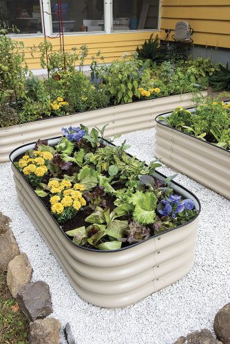Expand Your Planting Space | News, Sports, Jobs - Vimarsana News
