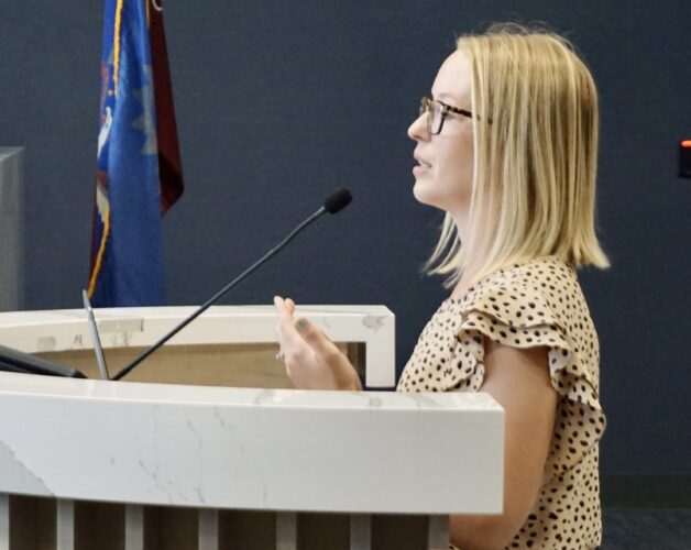 Childcare committee reviews economic assistance programs | News, Sports, Jobs - Vimarsana News