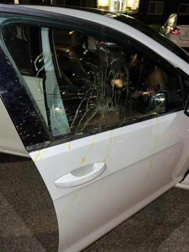 Further egging incidents reported around 16th Street | News, Sports, Jobs - Vimarsana News