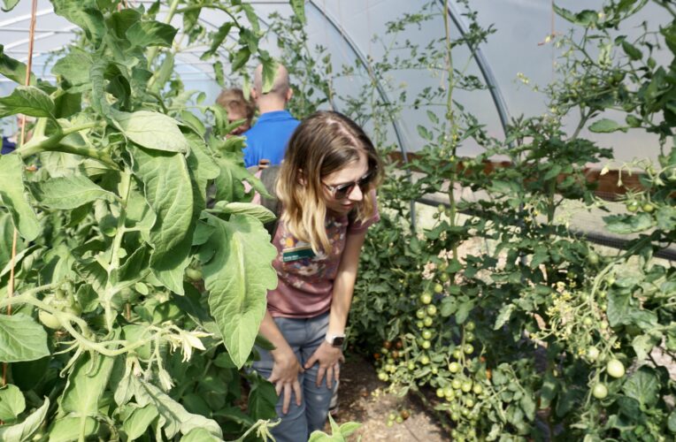 Organic producers reveal what's possible | News, Sports, Jobs - Vimarsana News