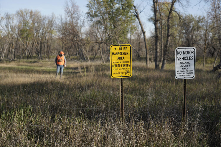 Wildlife Management Areas provide habitat, access for hunters | News, Sports, Jobs - Vimarsana News