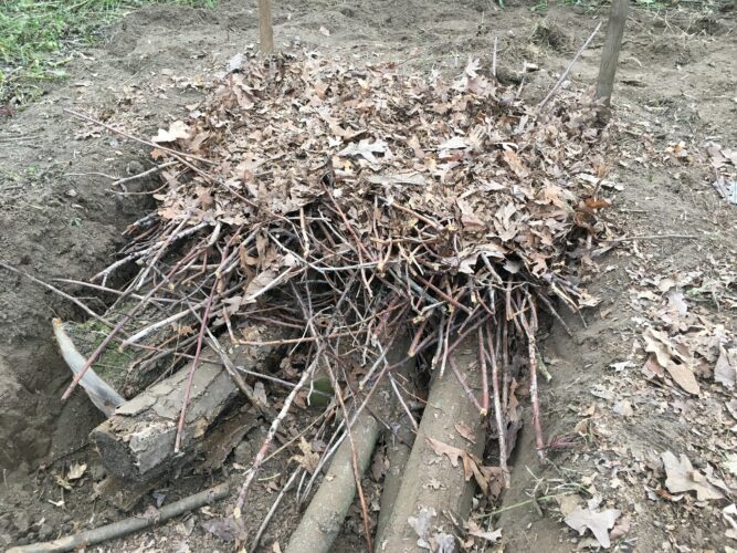 Create your own garden soil | News, Sports, Jobs - Vimarsana News