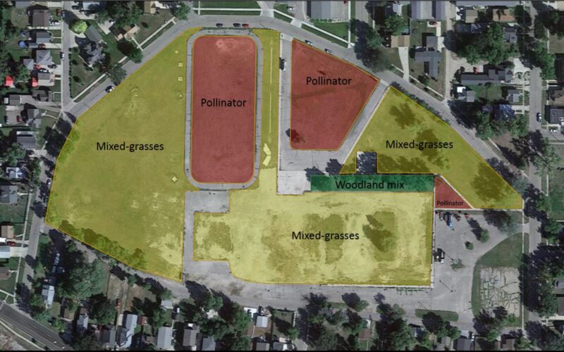 Plum River Native Prairie project to start phase one | News, Sports, Jobs - Vimarsana News