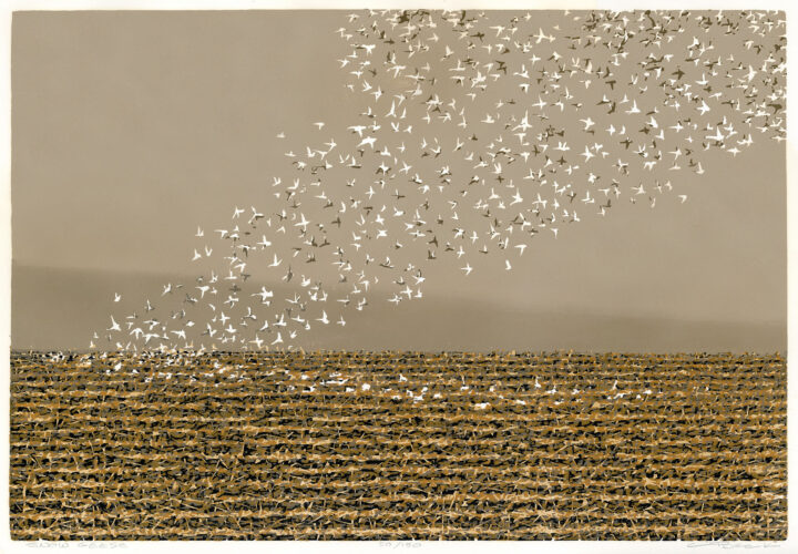 Woodcuts, poetry tour exhibited at Minot State's Walter Piehl Gallery | News, Sports, Jobs - Vimarsana News