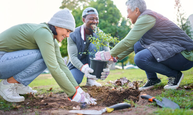 Generational housing mentorships close community gaps | News, Sports, Jobs - Vimarsana News