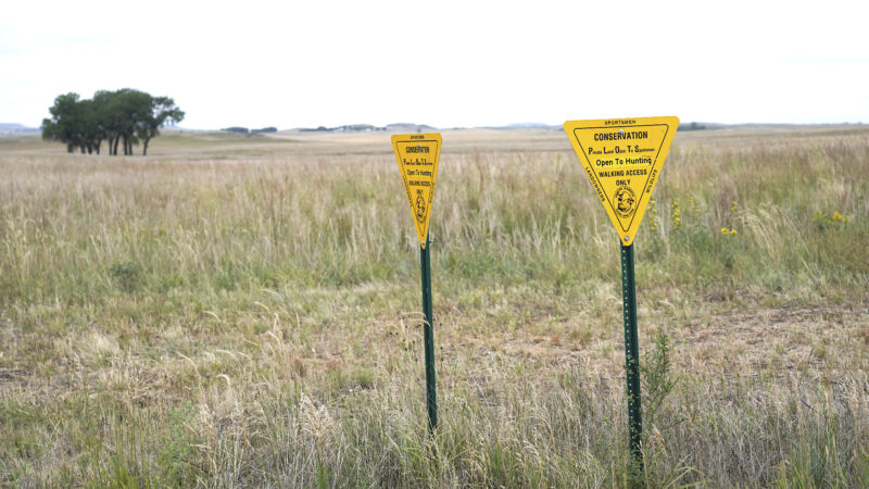 North Dakota Outdoors PLOTS: Voluntary program for landowners helps habitat | News, Sports, Jobs - Vimarsana News