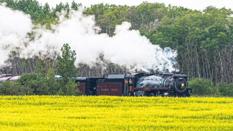 Cross-continent trip | News, Sports, Jobs - Minot Daily News - Vimarsana News