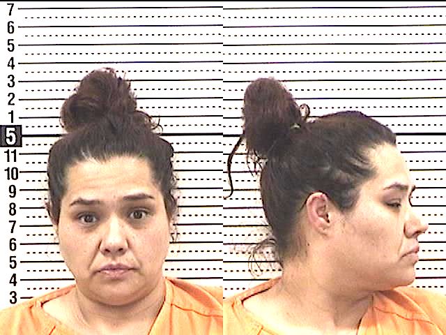 Stolen checks result in prison sentence | News, Sports, Jobs - Vimarsana News