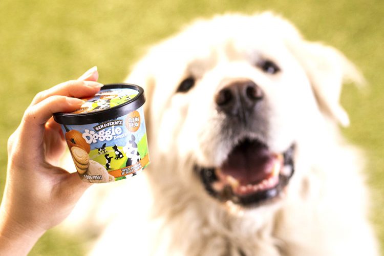 Doggie desserts: Ben & Jerry's enters the pet food business | News, Sports, Jobs - Vimarsana News