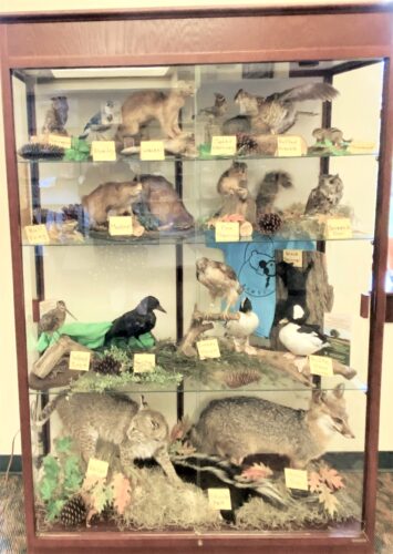 Lepper Library display | News, Sports, Jobs - Vimarsana News