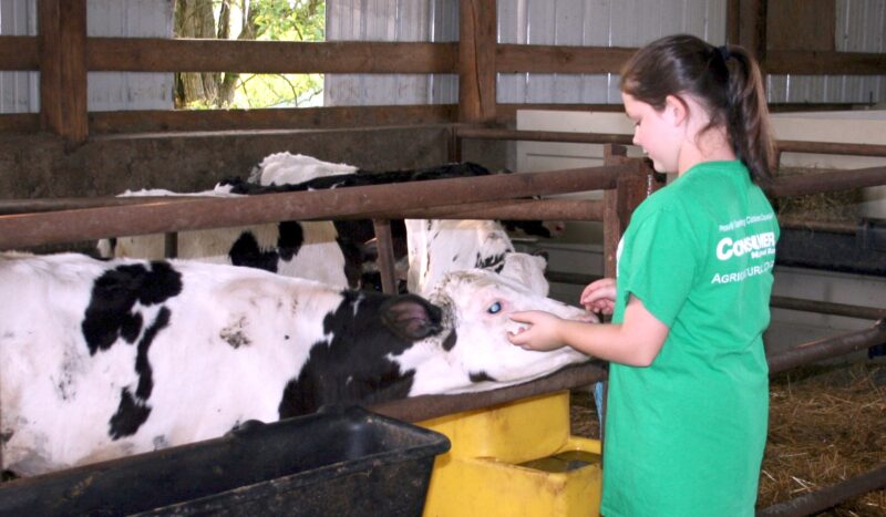 Hicks & Hayseeds 4-H Club visits Baker's Golden Dairy | News, Sports, Jobs - Vimarsana News