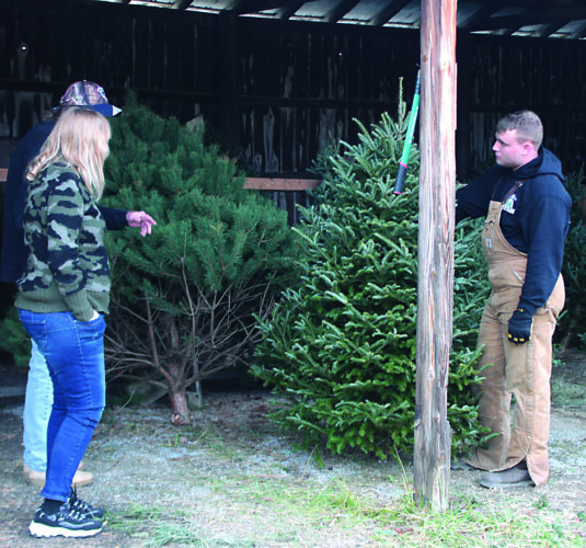 Christmas tree farms seeing various results | News, Sports, Jobs - Vimarsana News