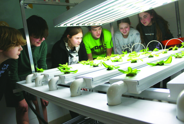 SL students participate in hydroponics project | News, Sports, Jobs - Vimarsana News