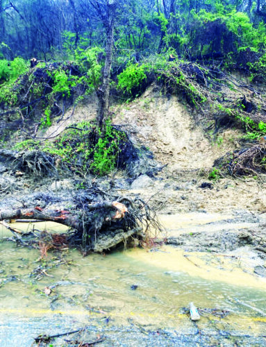 Mudslide closes portion of SR 39 | News, Sports, Jobs - Vimarsana News