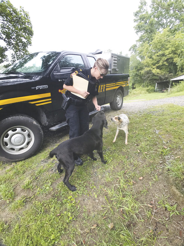 Washington County dog warden finds calling speaking for those who can’t