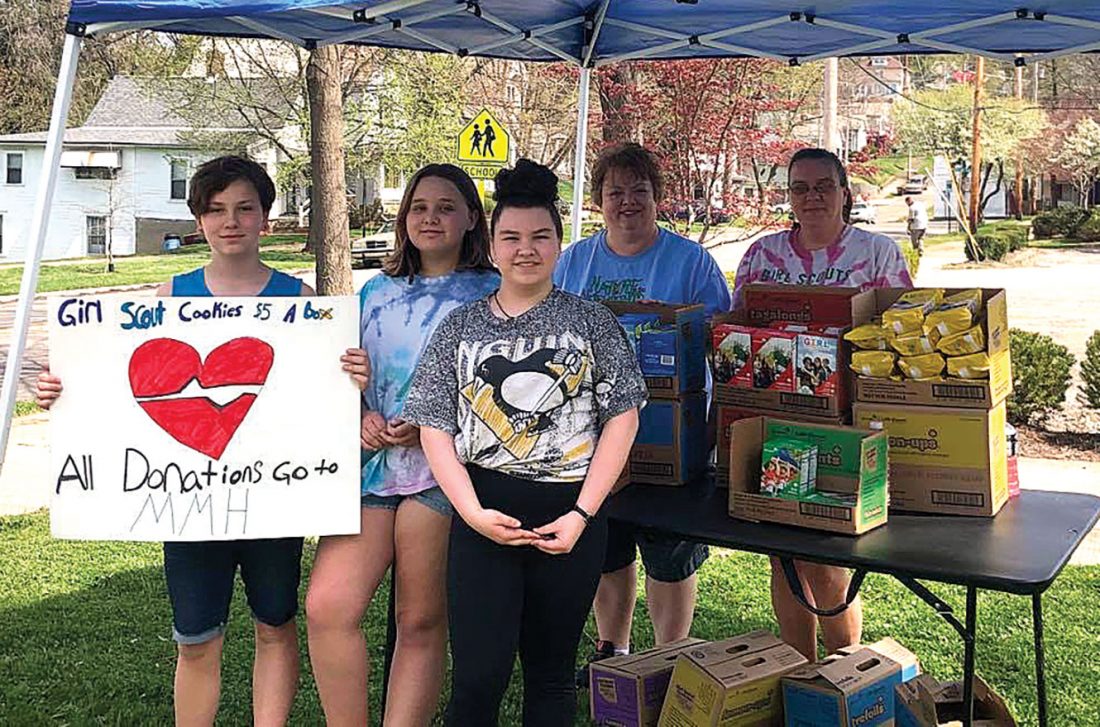 Girl Scouts help sweeten health care workers' days | News, Sports, Jobs - Vimarsana News