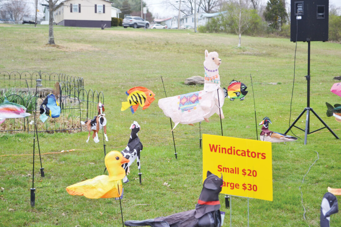 High winds largely ground New Era Kite Festival | News, Sports, Jobs - Vimarsana News
