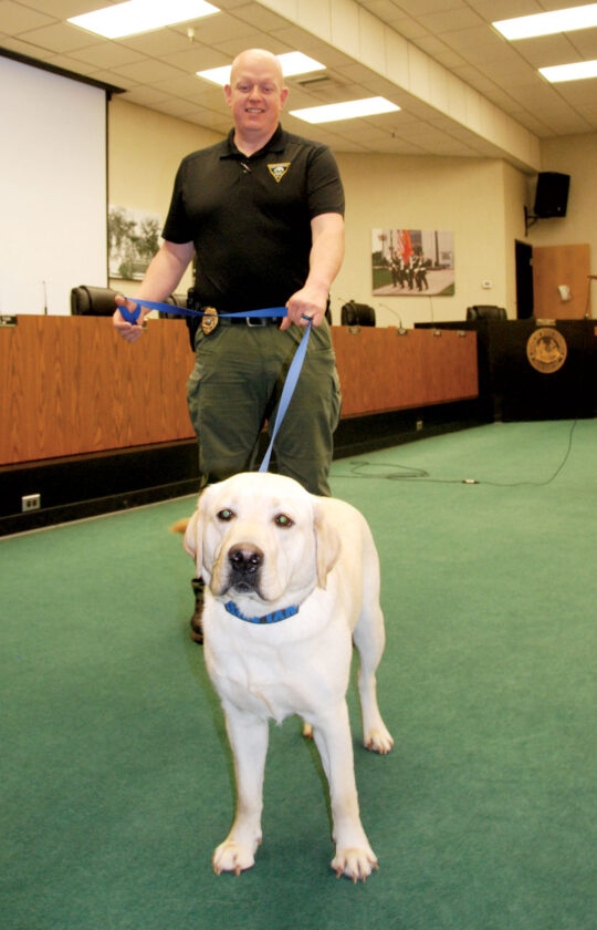 When You Leashed Expect It: Parkersburg's newest K-9 sniffs out electronic devices | News, Sports, Jobs - Vimarsana News