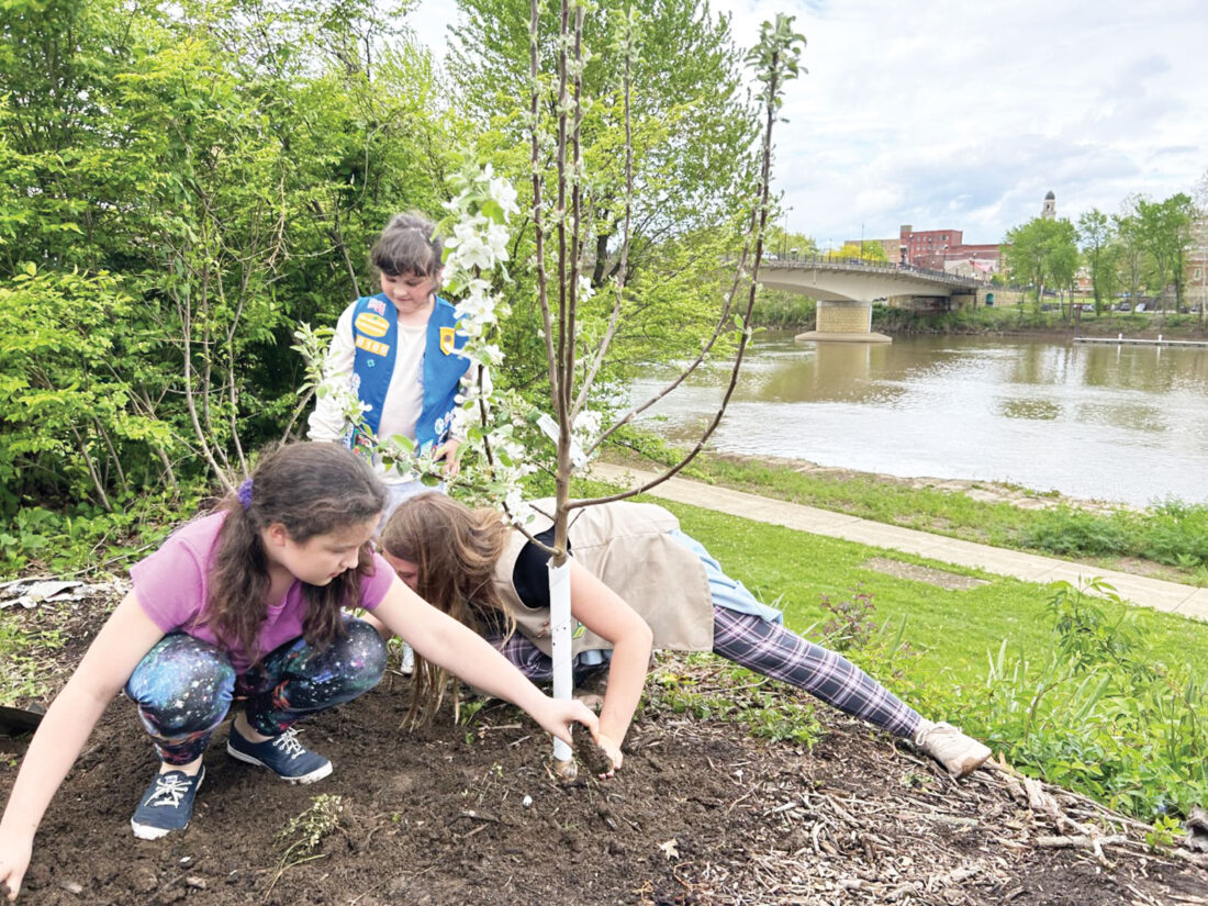 Rooting Interest: Girl Scouts plant apple, peach trees in Marietta | News, Sports, Jobs - Vimarsana News