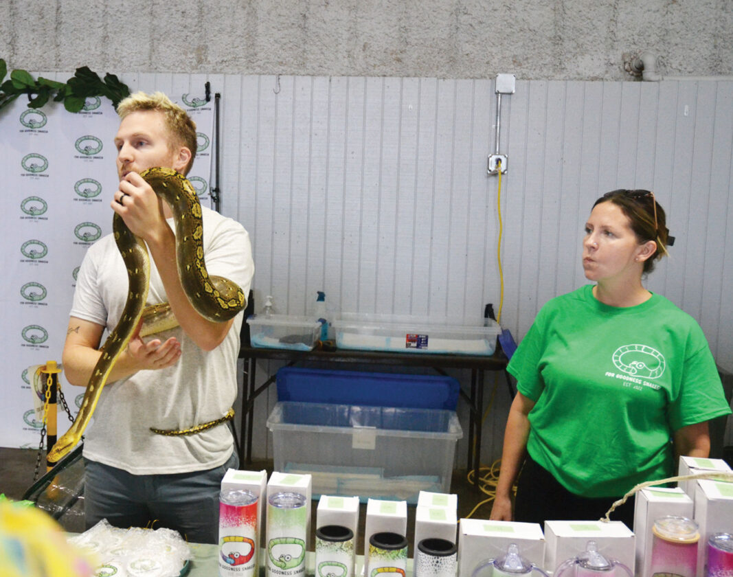 Fun, educational Jungle Jam works to dull hiss-teria over snakes | News, Sports, Jobs - Vimarsana News