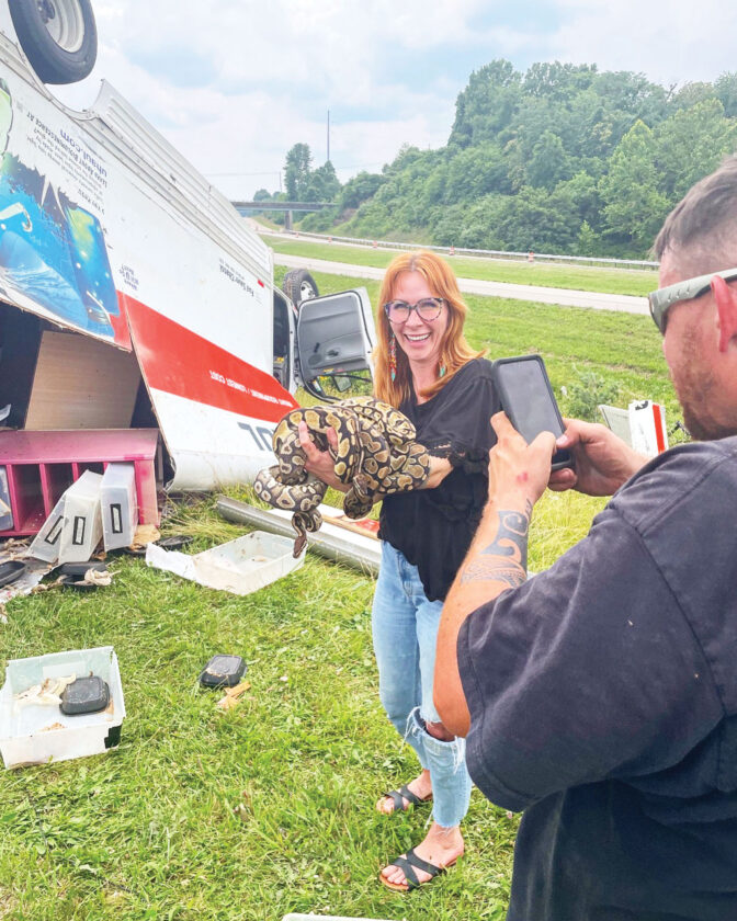 Anssssswering the Call: Mid-Ohio Valley reptile rescue cares for animals after auto accident | News, Sports, Jobs - Vimarsana News