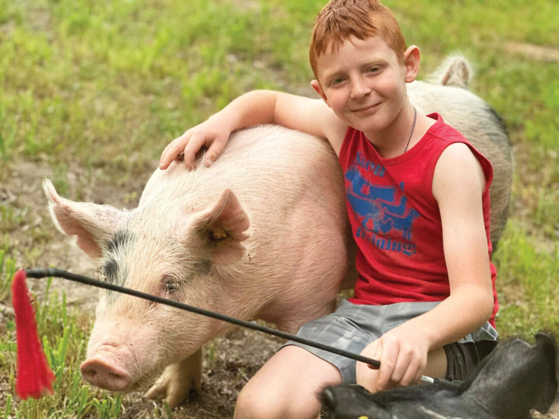 Wood County 4-H and FFA have busy week ahead with Summer Showcase | News, Sports, Jobs - Vimarsana News