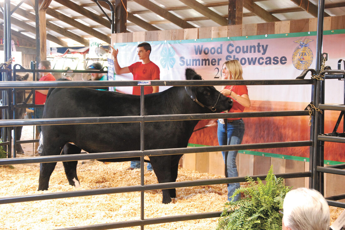 Wood County 4-H and FFA Summer Showcase wraps up with animal sale | News, Sports, Jobs - Vimarsana News