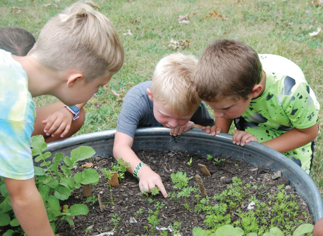 Wood County Recreation Commission's Summer Adventure program winding down today | News, Sports, Jobs - Vimarsana News