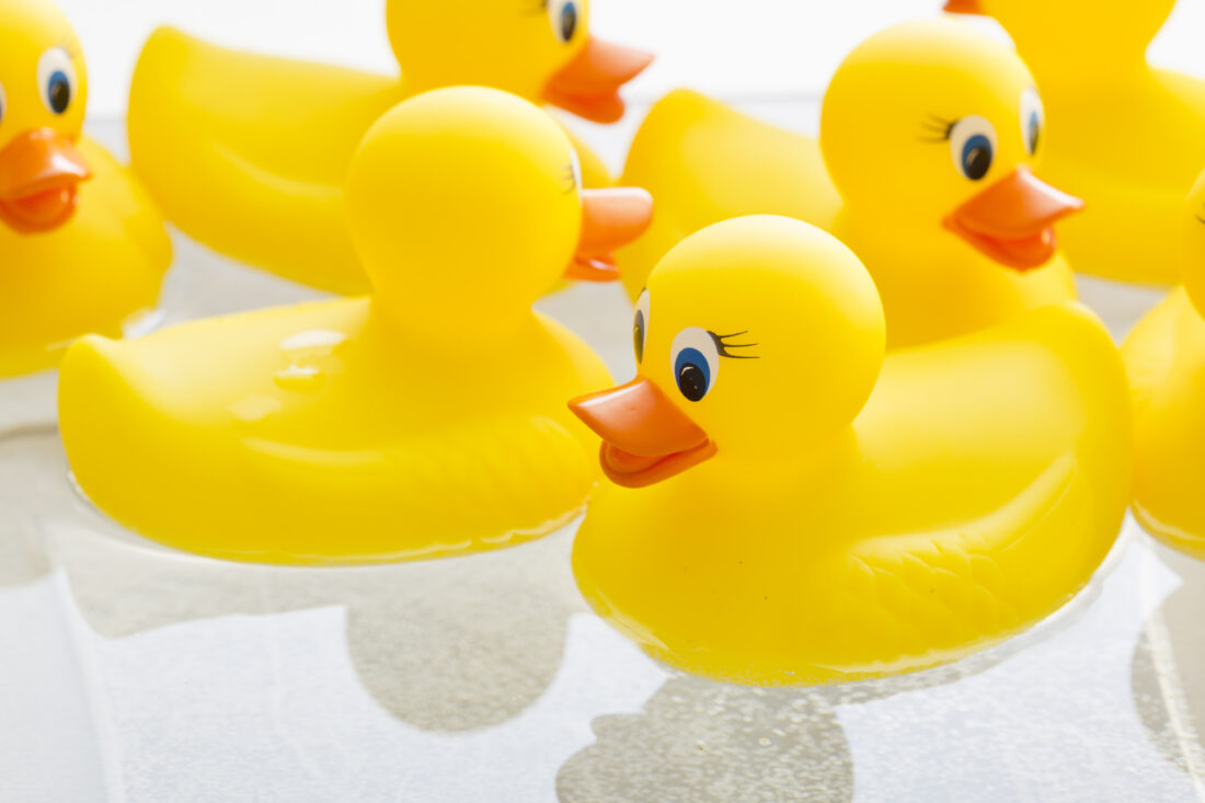 Disability Rights Ohio looking to make a splash with Duck Derby fundraiser | News, Sports, Jobs - Vimarsana News