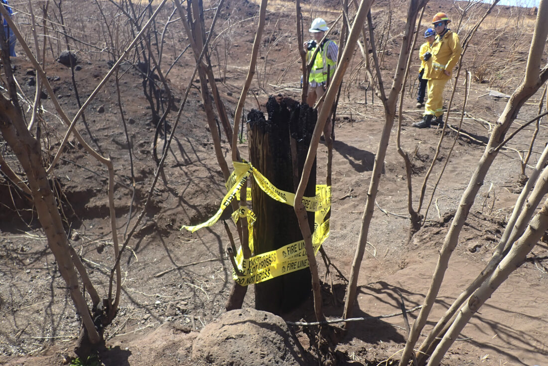 An old car tire, burnt trees and a utility pole may be key in finding how Maui wildfire spread | News, Sports, Jobs - Vimarsana News