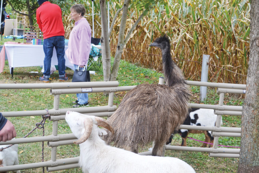 Thousands turn out for Lowell's Octoberfest | News, Sports, Jobs - Vimarsana News