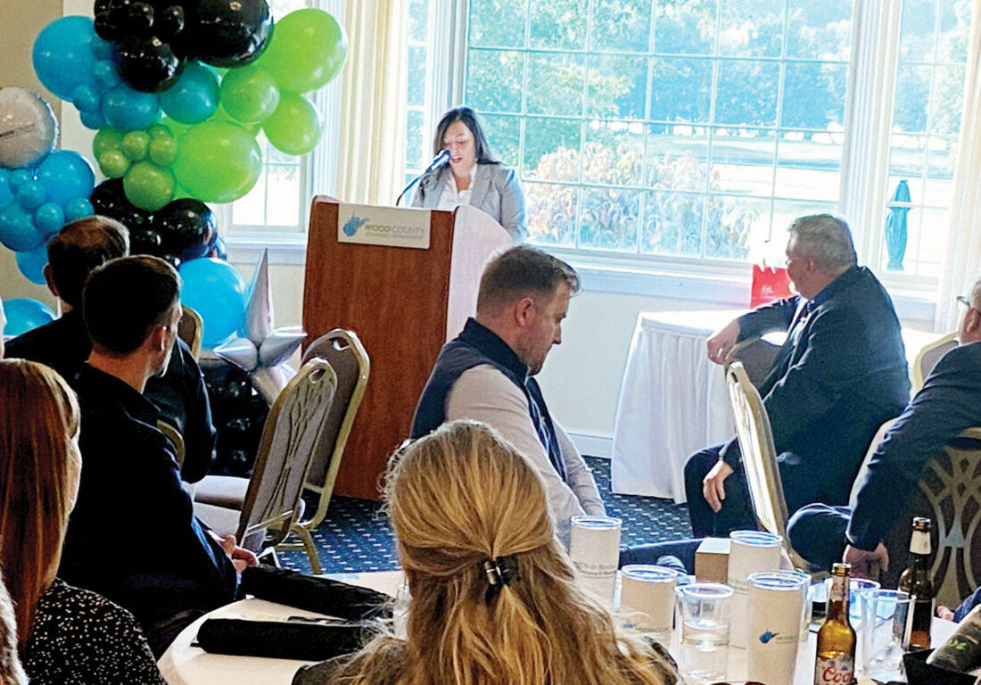 Development agencies see big things in store for Wood County in near future | News, Sports, Jobs - Vimarsana News