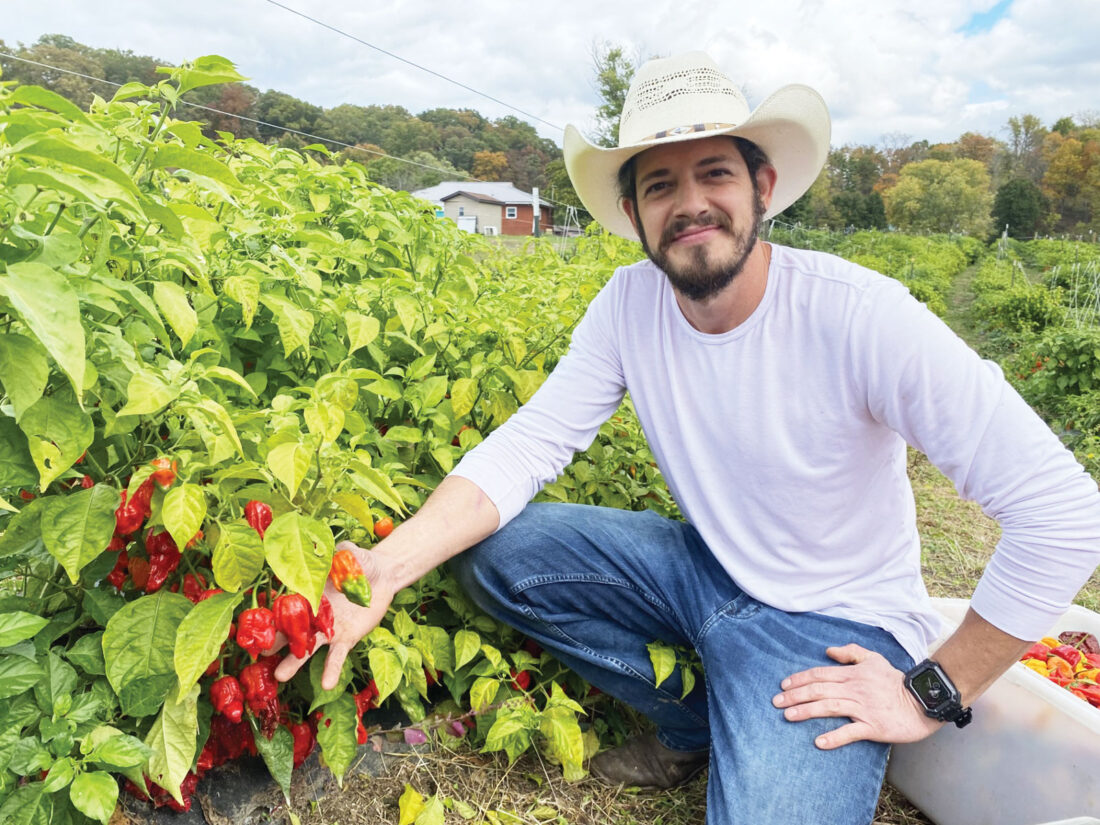 Groundswell: Pepper harvest heats things up at WVU-P's Riverhawk Farm | News, Sports, Jobs - Vimarsana News