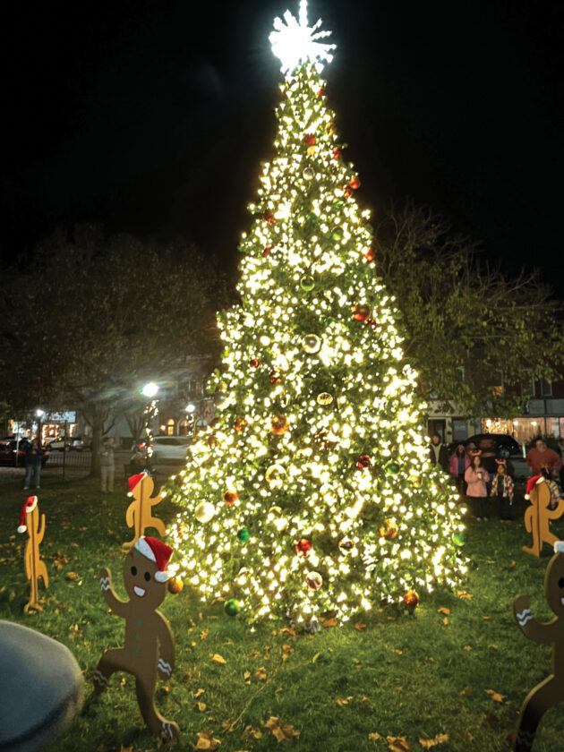 Marietta gets into holiday spirit with Christmas tree lighting | News, Sports, Jobs - Vimarsana News