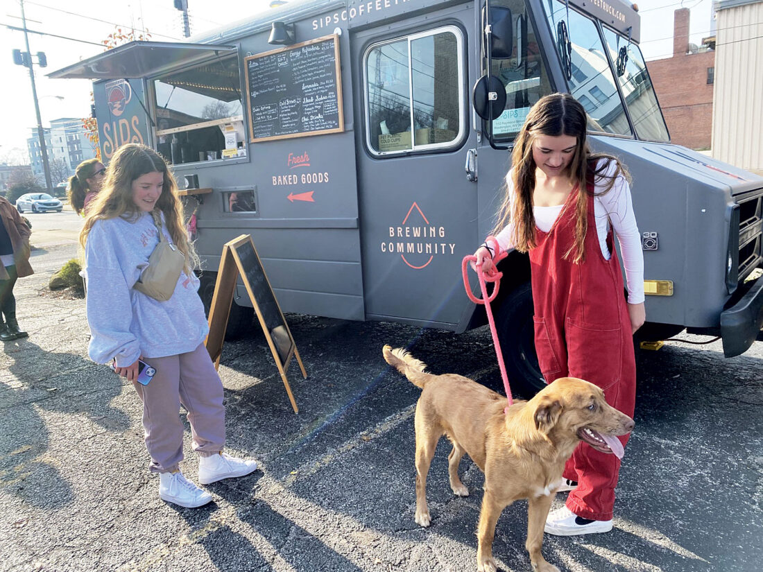 Picture This: A Dog Has His Day | News, Sports, Jobs - Vimarsana News