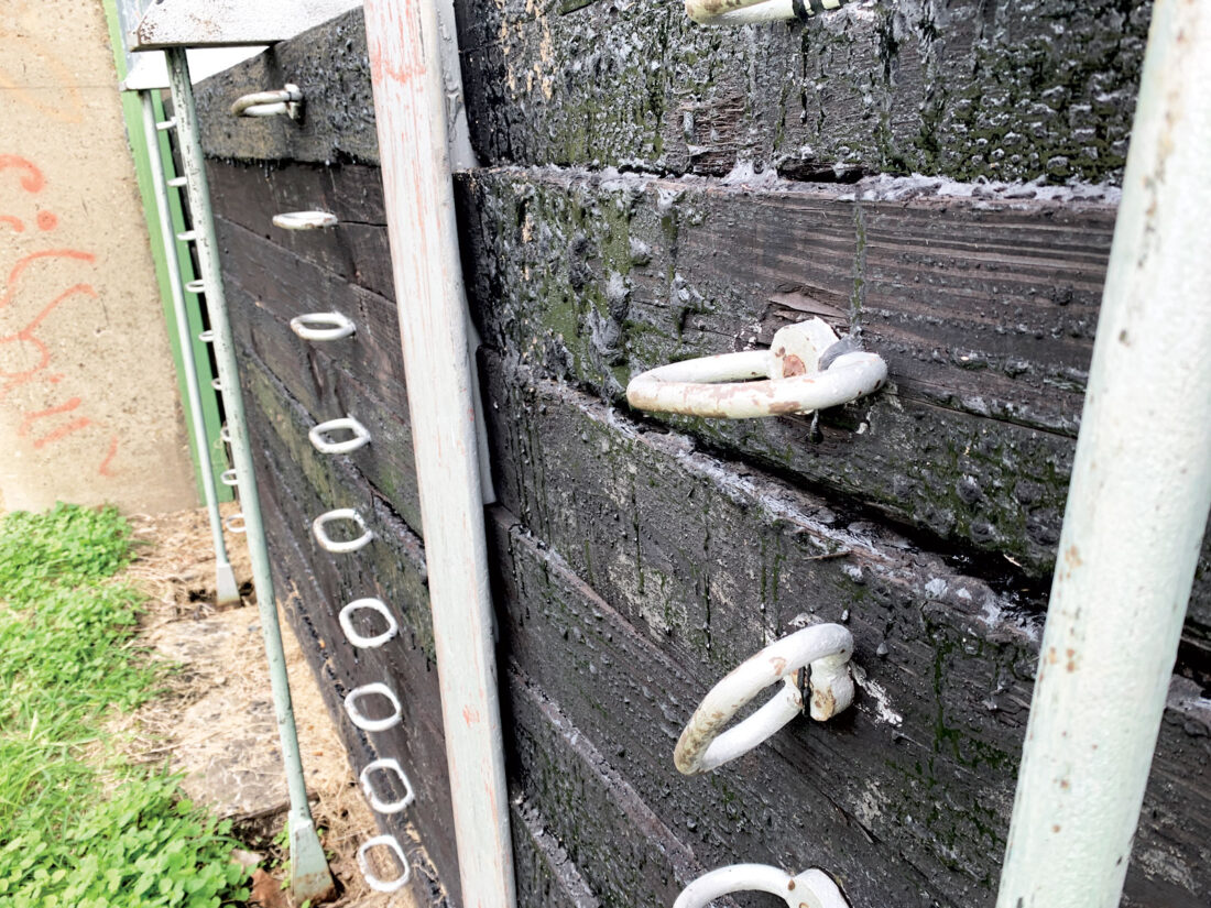 Parkersburg looks to replace floodwall gate logs from 1955 | News, Sports, Jobs - Vimarsana News