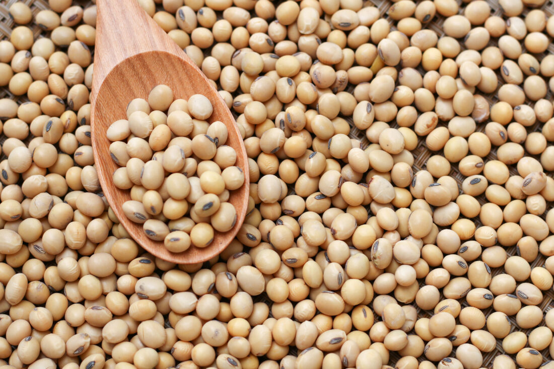 Backyard Gardener: All I am saying is give peas a chance | News, Sports, Jobs - Vimarsana News