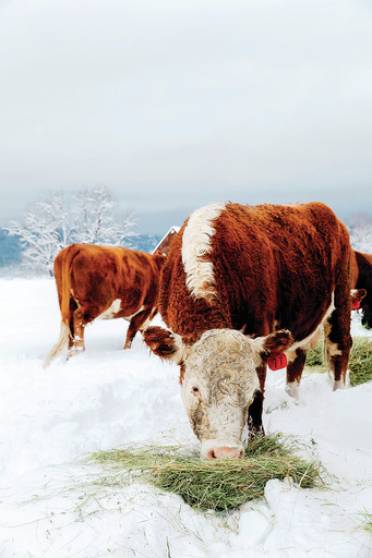 Farmer’s Short Course topics announced