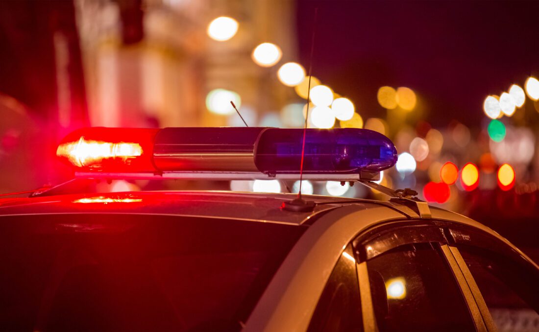 K9s United receives $400,000 in state funding to aid Florida's canine crime fighters | News, Sports, Jobs - Vimarsana News